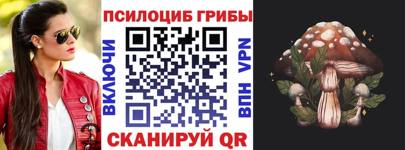 Псилоцибиновые грибы мицелий  хочу   Тутаев 