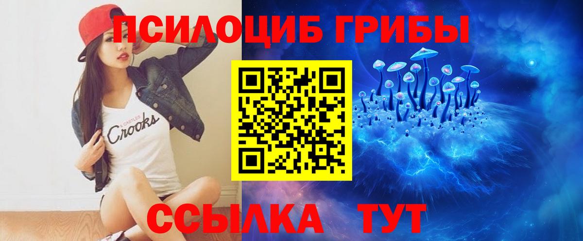 Тутаев  Галлюциногенные грибы Psilocybine cubensis  Вход с VPN 