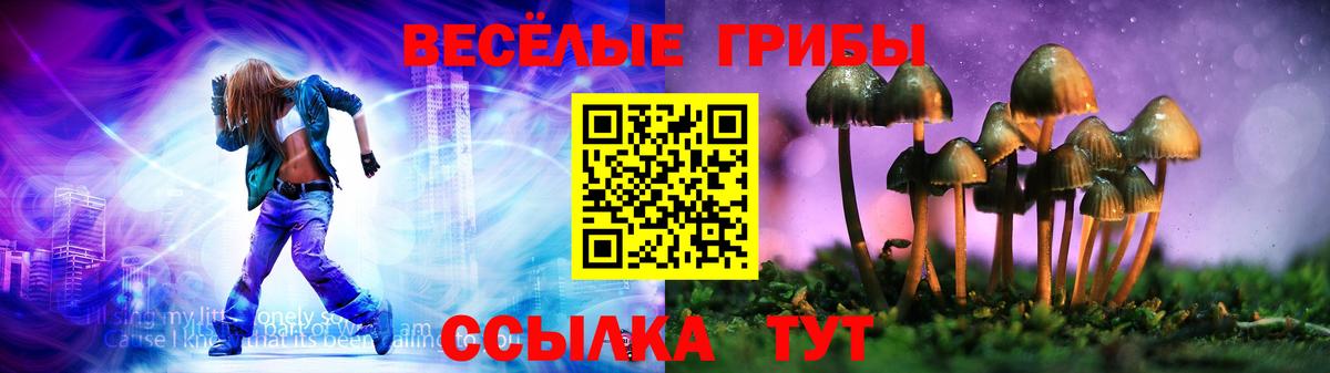 Галлюциногенные грибы Psilocybe  Тутаев 